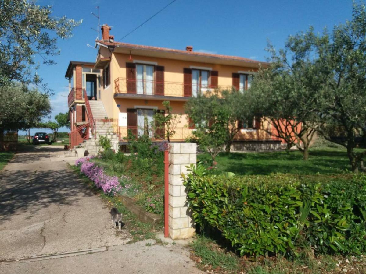 Apartman Dea Crveni Vrh Exterior foto